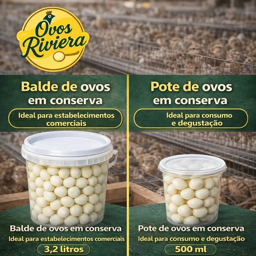 Potes e Baldes